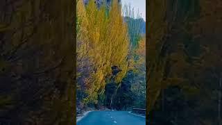 Autumn in Hunza Valley Pakistan #hunzavalley #ytshorts #youtubeshorts #youtube