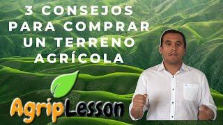 3 Recomendaciones a la hora de comprar un terreno agrícola