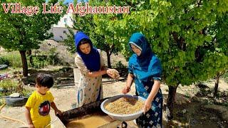 Daily Routine Village life in Afghanistan| Rural Life Of Afghan Women In a Remot Village Jaghori