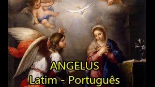 Angelus - tradução Latim-Português