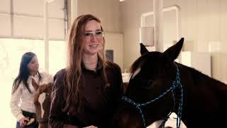 Weatherford College Equine Management Certification