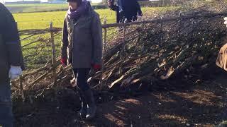 'Tous Eco-Citoyens' Hedgelaying Demonstration