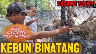 Zaid liburan ke kebun binatang || wisata alam pekanbaru riau. #kasangkulim #zoo #kebunbinatang