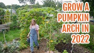 HOW TO GROW A PUMPKIN ARCH / EMMA'S ALLOTMENT DIARIES