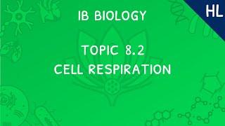 IB Biology Topic 8.2 (HL): Respiration