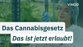 Das Cannabisgesetz (CanG) - Alles, was Konsumenten & Anbauvereinigungen wissen müssen