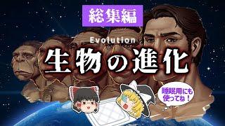 【睡眠用・ゆっくり解説】生物の進化【広告最初のみ　途中広告なし】