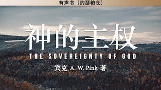 神的主权 The sovereignty of God | 宾克 | 有声书