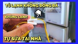 Tủ Lạnh Không Đông Đá Không Lạnh Tự sửa tại nhà không cần thợ  Samsung inverter