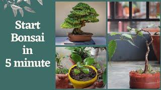 5 minutes gardening ||Easy Home-made Bonsai || Start Bonsai at Home