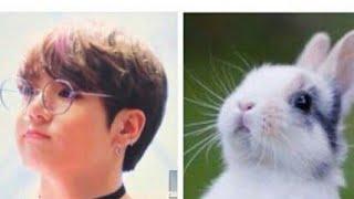 Jungkook Oppa as a bunny!