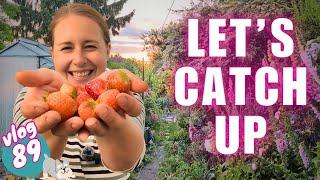 Ep89: THOSE BEANS & other updates | Gardeners' World Live | Garden & allotment vlog