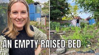 FILLING AN EMPTY RAISED BED / ALLOTMENT GARDENING FOR BEGINNERS
