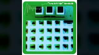 [1998] Geodezik – Low Bit Life [Full Album]