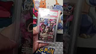 umbreon baby #pokemonyoutuber #pokemon #pokemoncollector #umbreon #psa10 #pokemoncards #pokemontcg