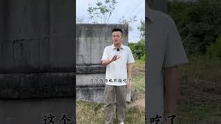 梁武帝萧衍 规定和尚从此不能吃肉而自己最后却被活活饿死#梁武帝 #萧衍 #南朝 #旅行大玩家 #导游