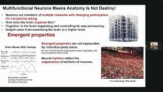 2024 TSC PLENARY - 2 'CORTICAL OSCILLATIONS, WAVES AND CONSCIOUSNESS