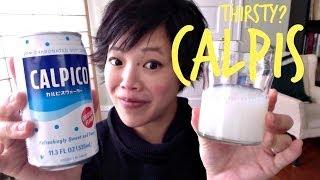 Calpis Calpico | Thirsty? #15