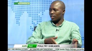 Understand everything about Poultry diseases - Dr Paul |Agri Talk|