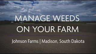 Manage Weeds on Your Farm: Ecological Weed Management at Johnson Farms, Madison, SD