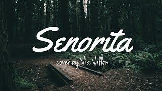 Lirik Lagu Via Vallen - Senorita ( Shawn Mendes ft Camila Cabello ) [ cover Koplo Version ]