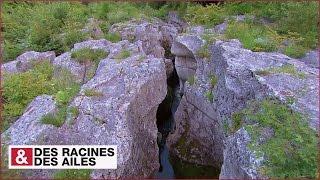 La Valserine ou la rivière aux marmites de géants