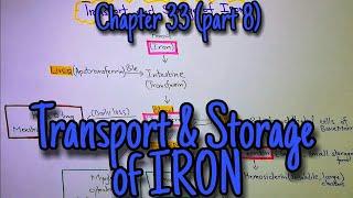 Transport and storage of iron (part 8) Guyton and Hall text book of physiology.