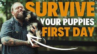 How To Survive The First 24 Hours With Your New Puppy!