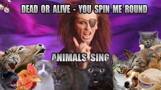 Dead Or Alive - You Spin Me Round (Animal Cover)