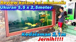 Review kolam koi minimalis kaca ukuran 5,5m x 2,5m jernih