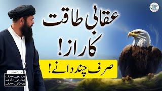 Uqabi Taqat Ka Raaz | Barberry benefits | Tibbi Totkay | Sheikh Ul Wazaif Ubqari