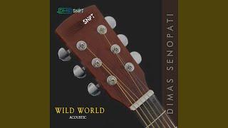Wild World (Acoustic)
