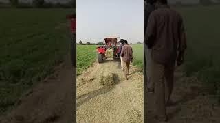 Efficient Farming: Alfalfa Square Bales Made Easy with Tractor Baler