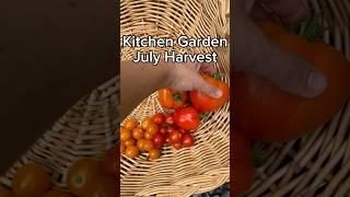 Atlanta suburban garden harvest and tips   #gardening #zone8a