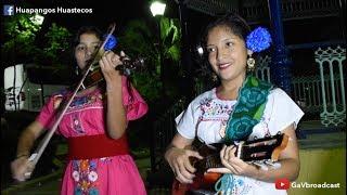 Así bailan y tocan huapango los jóvenes veracruzanos (Temple Huasteco y Flor de Madera)