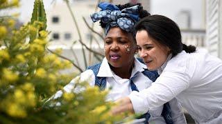 The inspiration behind The Insider SA