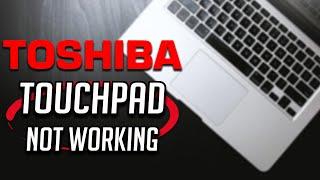 Toshiba Touchpad Not Working in Windows 11 [2024 Tutorial]