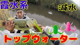 流入河川で極太バスをゲット！【霞ヶ浦】【バス釣り】【トップウォーター】