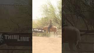 Unlock your riding potential with Reiningmasterclass.com!  #JimGreendykPerformanceHorses #reining