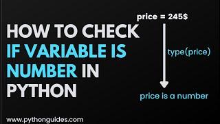 How to Check if variable is number in Python | Check Variable Type in Python | Python Beginner Guide