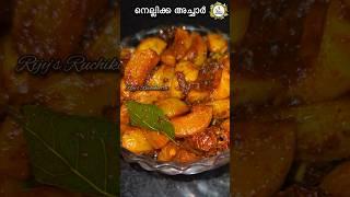 നെല്ലിക്ക അച്ചാർ | Kerala Gooseberry Pickle | Nellikka Achar | കൊതിയൂറും നെല്ലിക്ക അച്ചാർ ഉണ്ടാക്കൂ