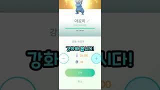 [포켓몬고] 100% 아공이를 풀강했습니다!! 진화도?!