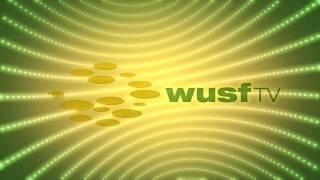 WUSF ID HD 17 FINAL