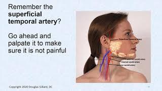 CVPP Lab Lecture: (Wk1)(Wint-2021): Pulses of the Upper Extremity and Head Plus Associated Pathology