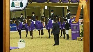 Dressurprüfung Kl. A Kür - Quadrille für Mannschaften