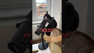 ️Catcast: Dating Tipps vom Kater | Folge 1 #katze #comedy #tiere #vlog