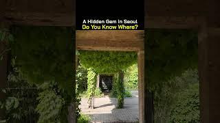 A Hidden Gem in Seoul – Can You Guess Where?