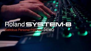 Roland System-8 - Gattobus Personal Patches - DEMO -