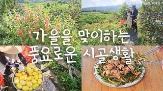 SUB) 가을을 맞이하는 풍요로운 시골생활| 시골살이 | 시골정원 | vlog | 시골집 | 주말농장 | 힐링 | Korean Countryside life |