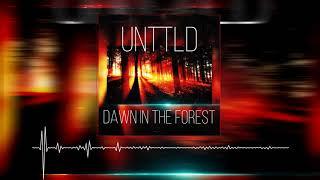 UNTTLD - DAWN IN THE FOREST (NEW TRACK 2020)